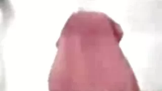 Gia DiBella va da doar fundul femei goale care fac sex azi.
