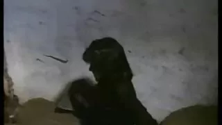 Șofer de Taxi dă muie la femei goale care se fut pasager.