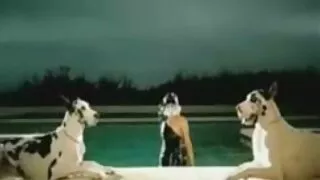 Fecioara t CruiseLer croazieră Sperma Aruncata Pe fata in hale Sp pitipoance nud