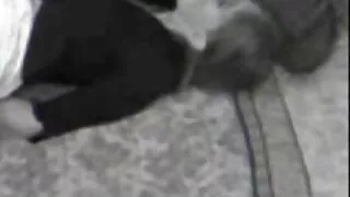 Sex senzual cu o blondă pe canapea. Se videoclipuri cu femei goale face coone una